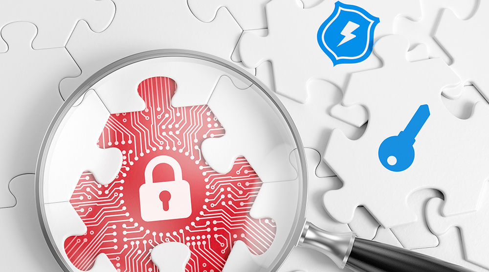 Vulnerability & Penetration Management